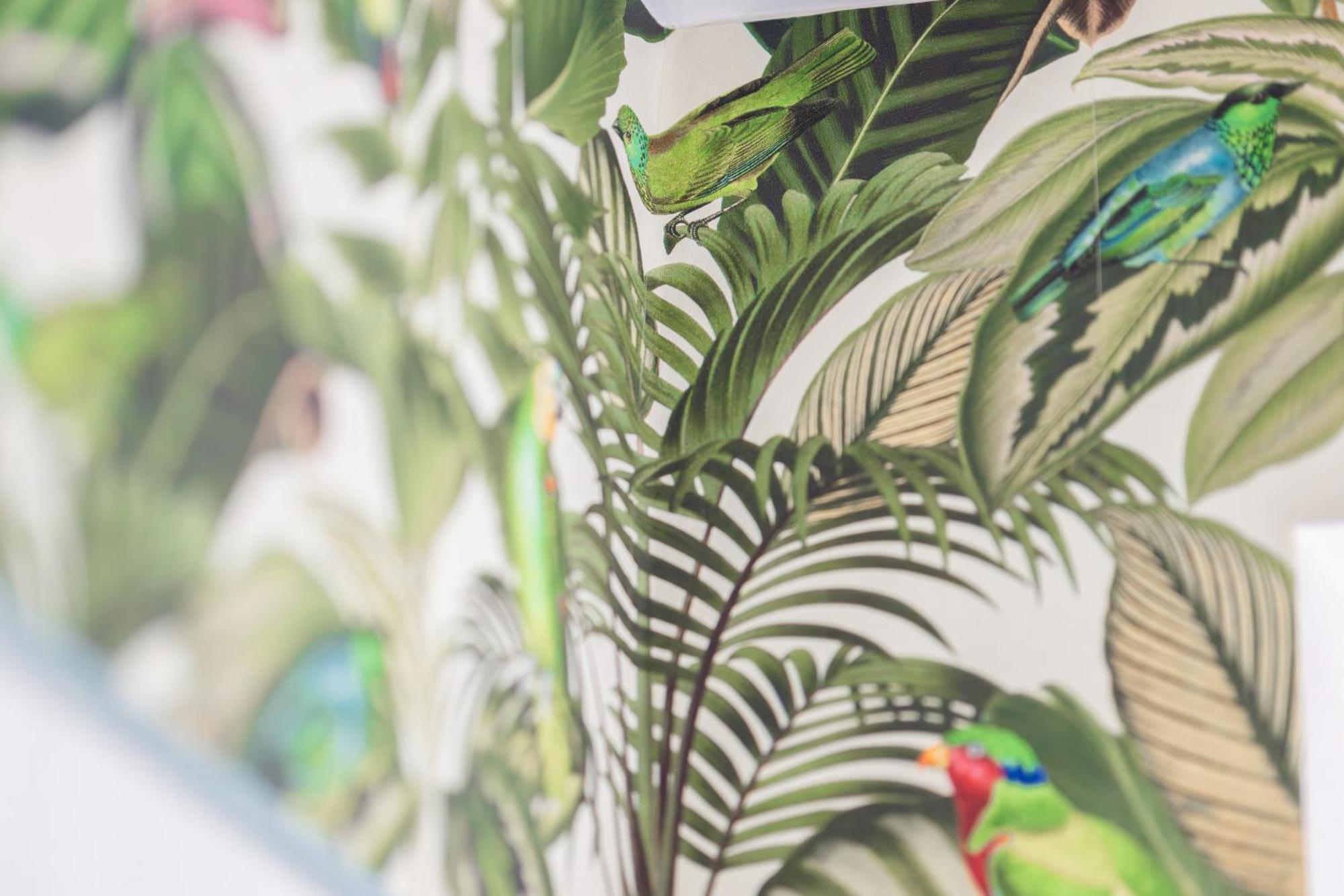 Stay Awesome - Urban Jungle Apartment Zentral, Wilhelmshoehe Кассель Екстер'єр фото